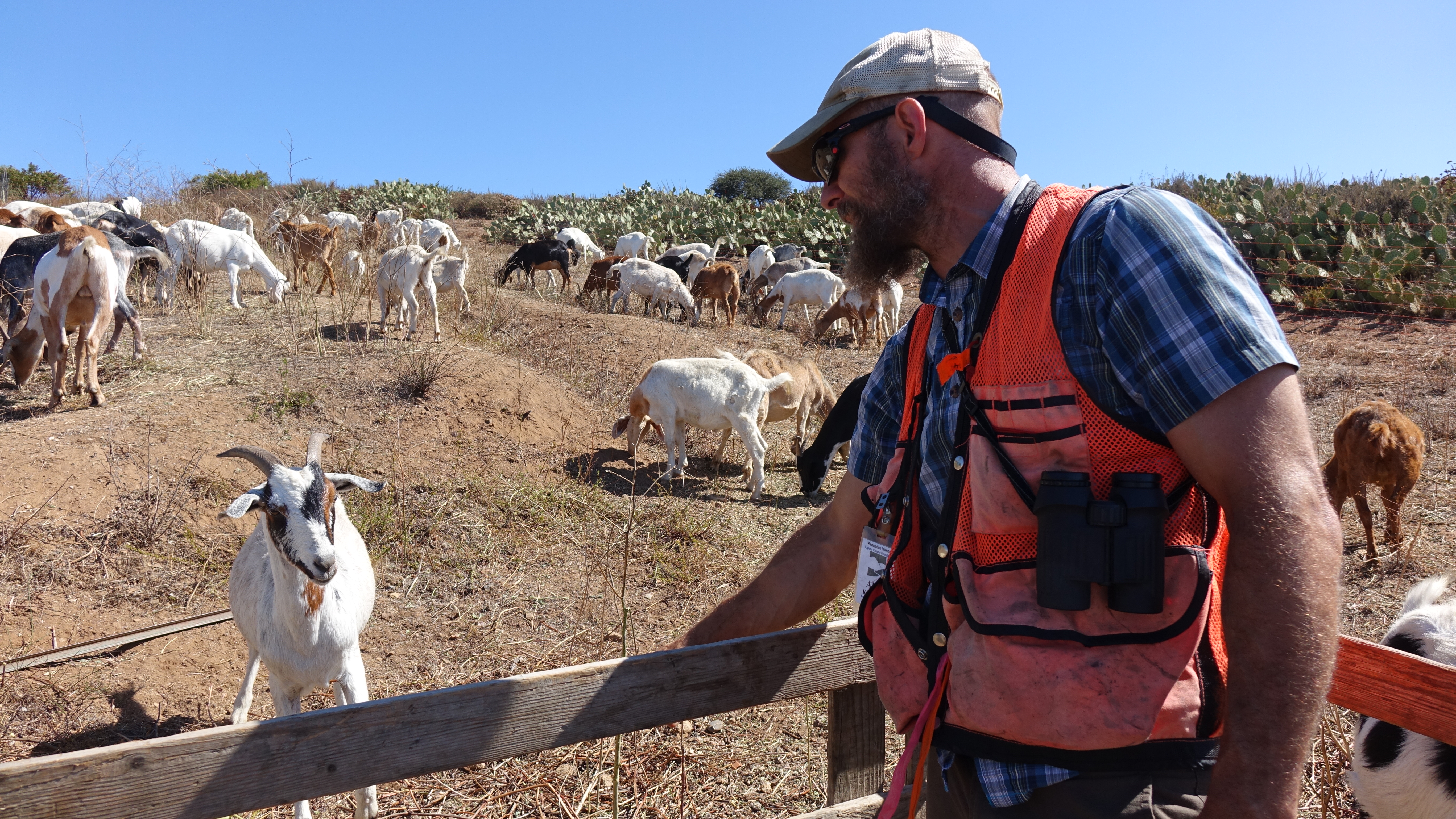 GOAT Farm Media  Laguna Hills CA