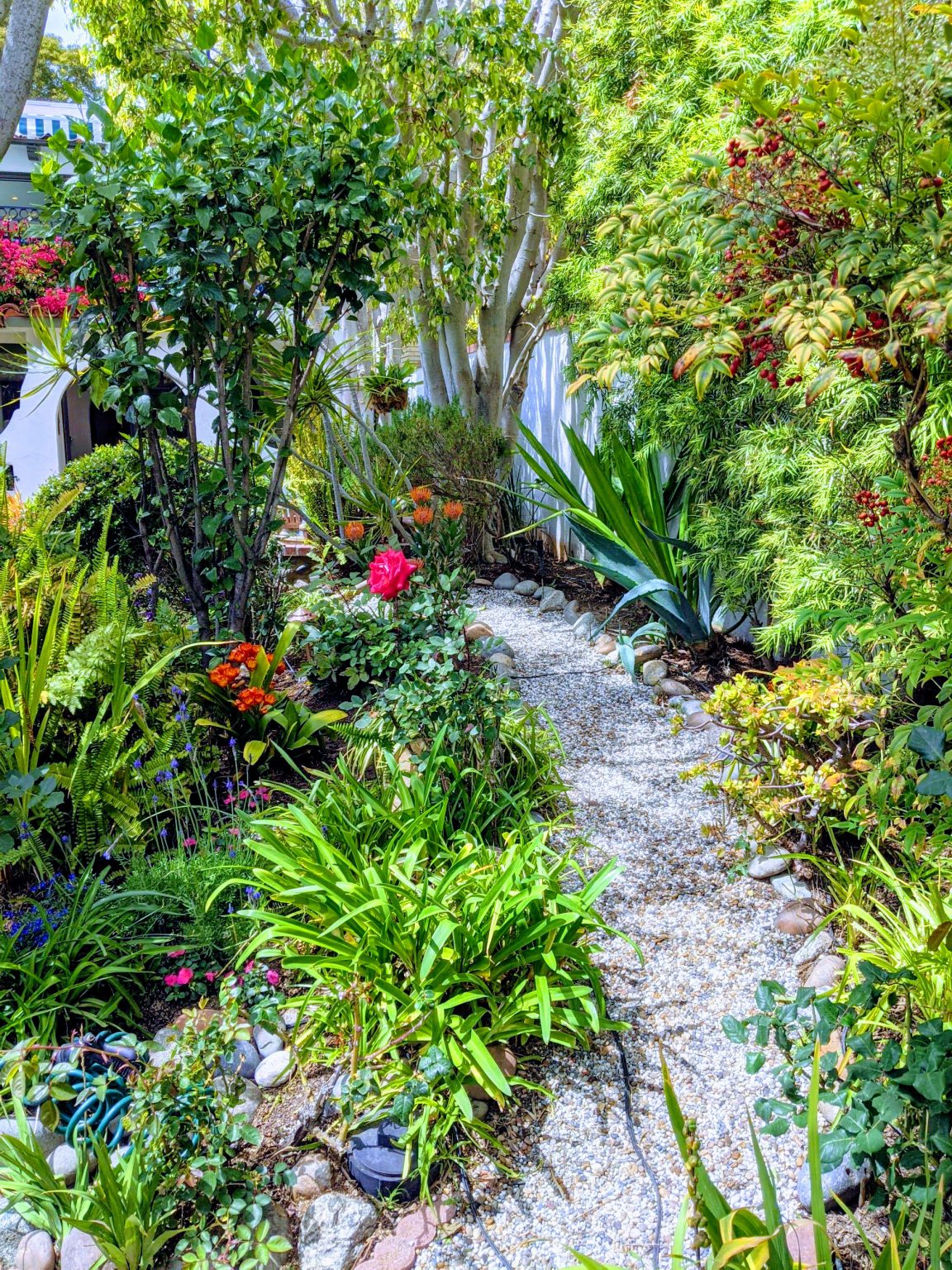 garden tour laguna beach