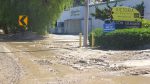 laguna canyon mud flow 081022